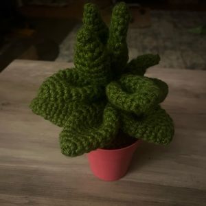 crocheted succulent